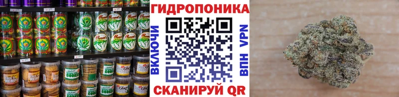 Cannafood марихуана Минеральные Воды