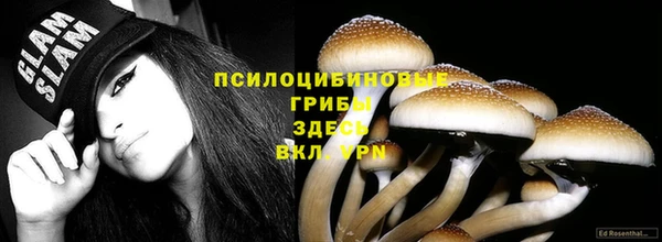 ГАЛЛЮЦИНОГЕННЫЕ ГРИБЫ Белоозёрский