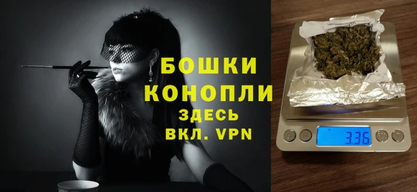 гидра Белокуриха
