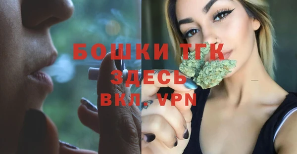 ГАЛЛЮЦИНОГЕННЫЕ ГРИБЫ Белоозёрский