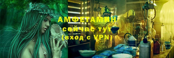 гидра Белокуриха