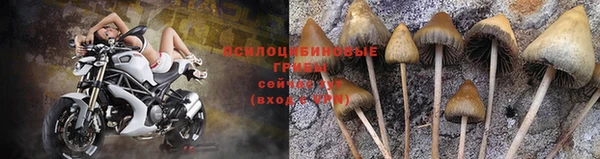 a pvp Бронницы